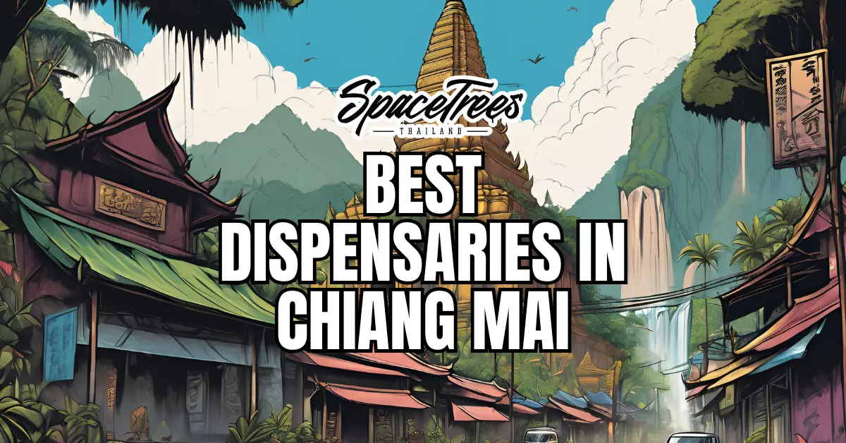 Space Trees guide to dispensaries in Chiang Mai featuring Thai temples, golden pagoda and mountain scenery