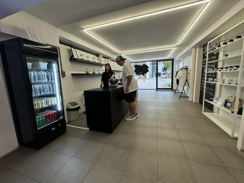 Dispensaries in Chiang Mai - Inside Space Trees dispensary showing budtender service counter and product displays