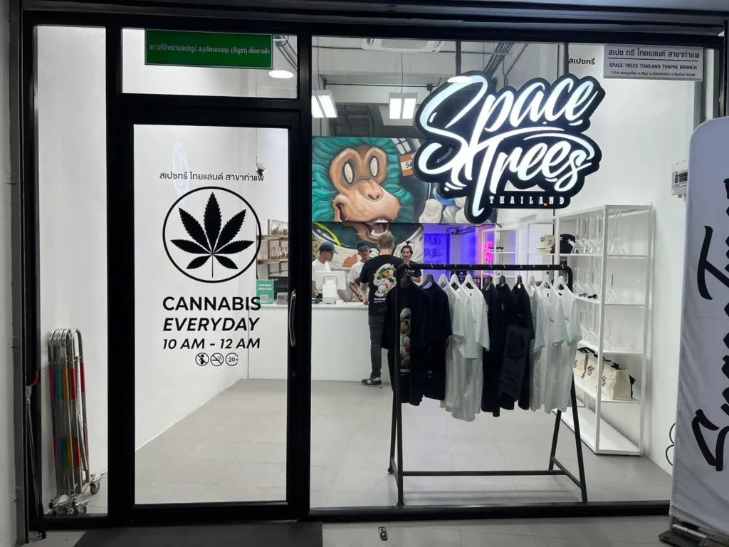 Weed is legal in Thailand - Space Trees licensed cannabis dispensary in Chiang Mai showcasing modern storefront with neon signage and merchandise display