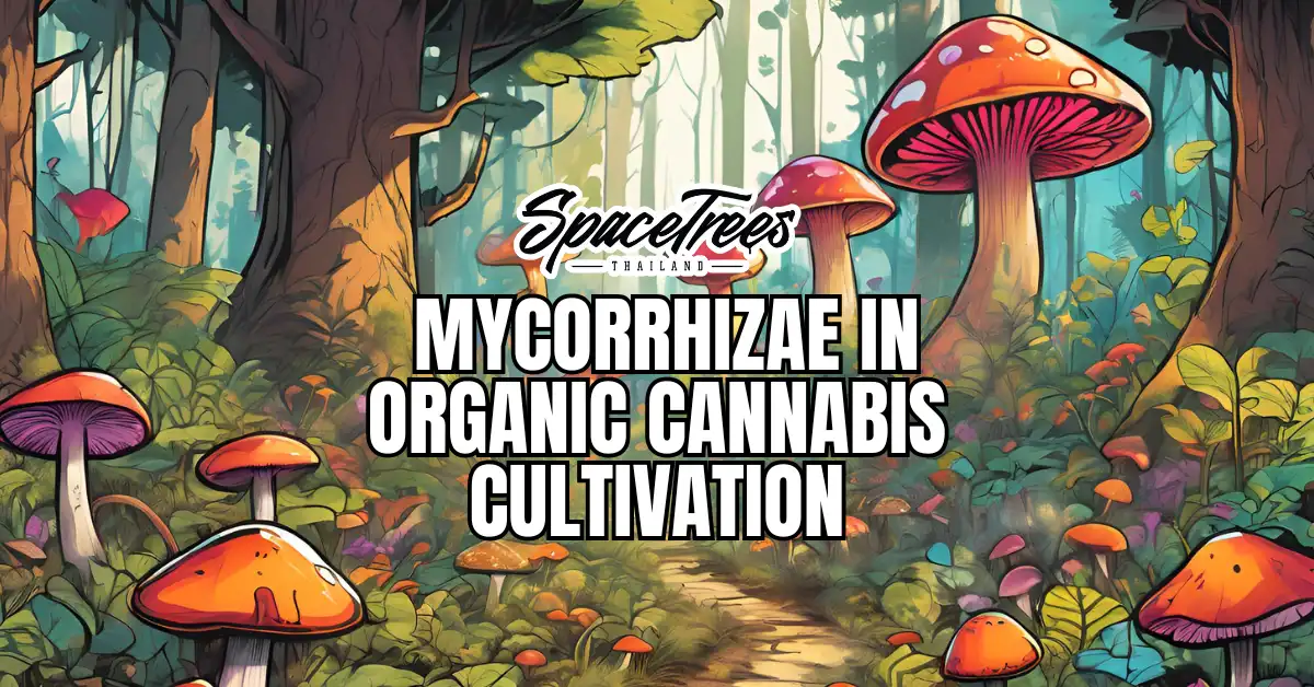 Illustration of a vibrant forest with colorful mushrooms and greenery, featuring the bold text 'Mycorrhizae in Organic Cannabis Cultivation' and the Space Trees Thailand logo