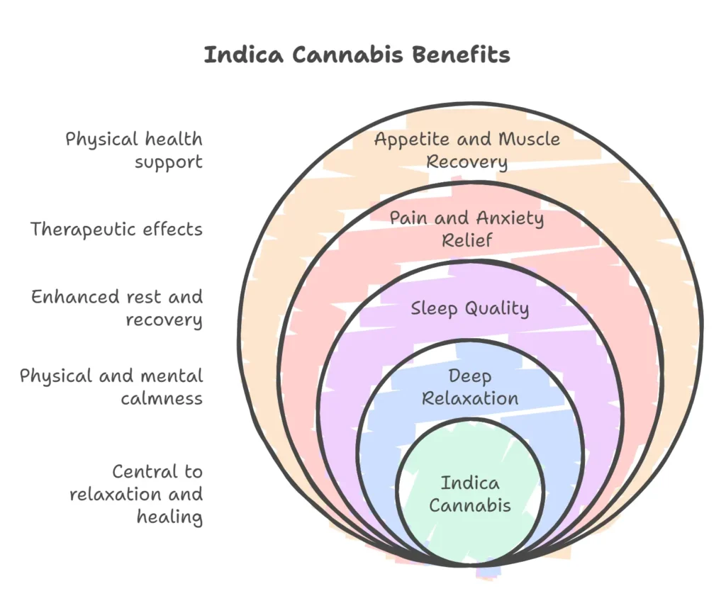 Illustration of Indica cannabis benefits featuring overlapping colorful circles. Central themes include deep relaxation, sleep quality, pain and anxiety relief, appetite and muscle recovery, physical and mental calmness, and enhanced rest and recovery.