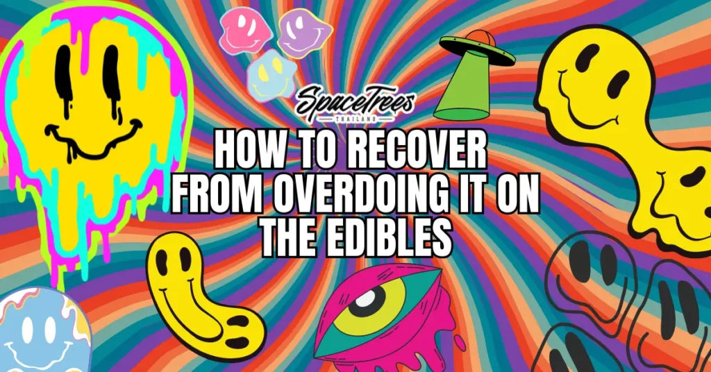 Colorful psychedelic-style graphic by SpaceTrees featuring melting smiley faces, a flying saucer, and vibrant swirls, with text reading “How To Recover From Overdoing It On The Edibles.”