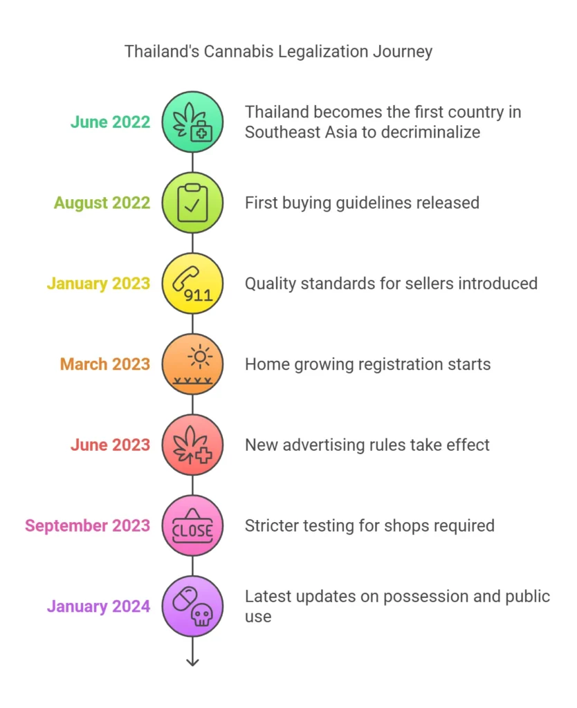 Timeline showing Thailand's cannabis legalization milestones from June 2022 to January 2024, including decriminalization, buying guidelines, quality standards, home growing registration, advertising rules, testing requirements, and possession updates