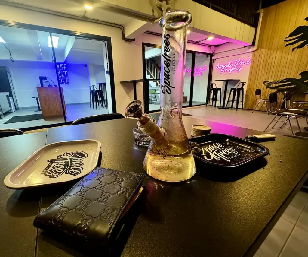 Weed cafe in Chiang Mai - Space Trees smoking lounge featuring bong setup, rolling trays, and neon 'Smoke Weed Everyday' sign in a modern relaxation space