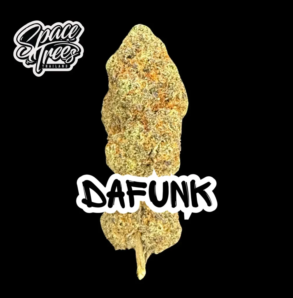 Da Funk cannabis strain product photo against black background with Space Trees Thailand logo