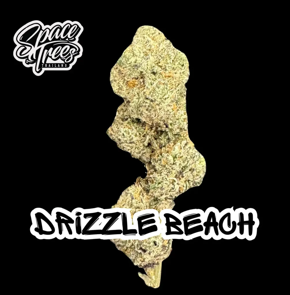 Drizzle Beach strain nug shot against black background with Space Trees Thailand logo and graffiti-style typography