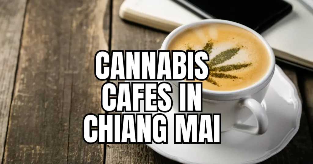 Kush cafes in Chiang Mai serving artisanal coffee with cannabis leaf latte art on rustic wooden table with notebooks in background