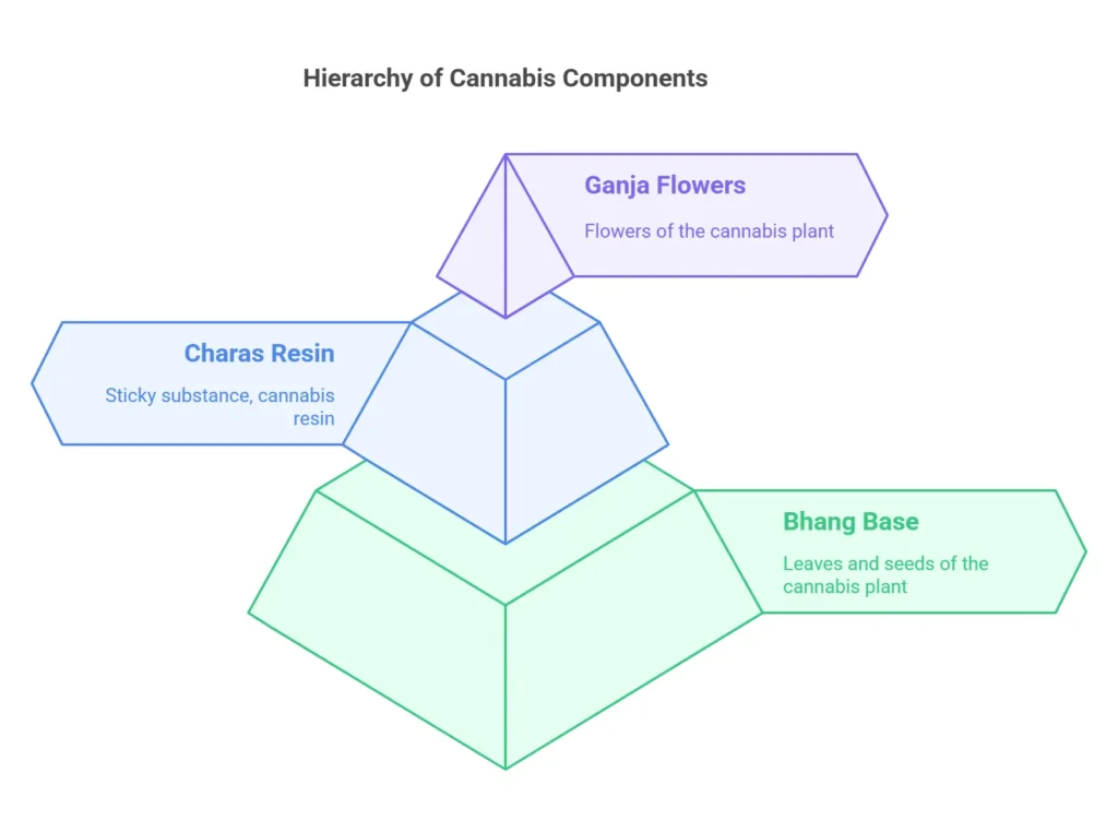 Hierarchy of Cannabis Components explaining "What is Ganja," showcasing Ganja Flowers, Charas Resin, and Bhang Base with their respective roles and descriptions.