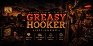Greasy Hooker strain by Reverse Genetics is a Sugarcane x Red Velvet x GMO cross with 25% THC, large dense green and purple buds, and a sour sickly fruit aroma with citrus on the exhale. Available at Space Trees Thailand, Chiang Mai