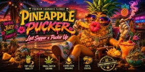 Pineapple Pucker strain cannabis flower by Solfire Gardens — Space Trees Chiang Mai living soil